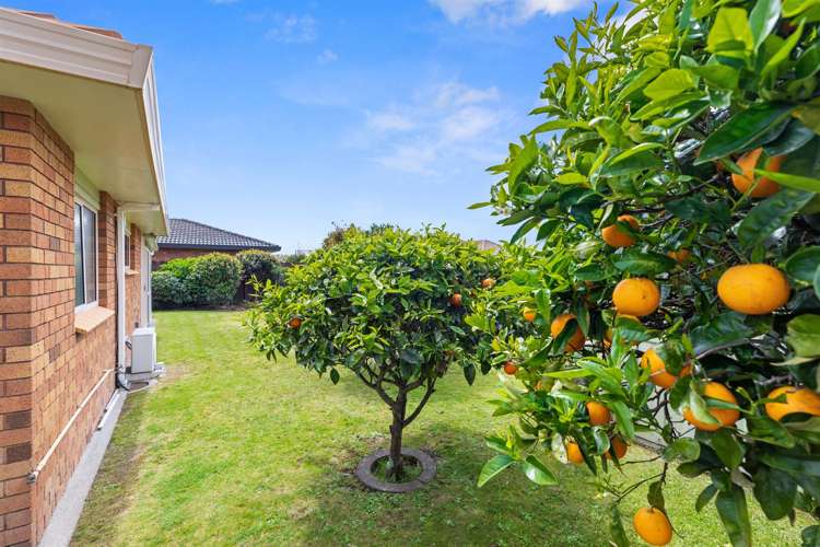 23 Lotus Avenue Mount Maunganui_6