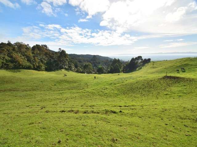 740 Waiti Road Tahuna_2