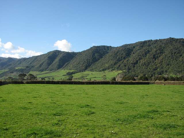 Old Te Aroha Road Okauia_4