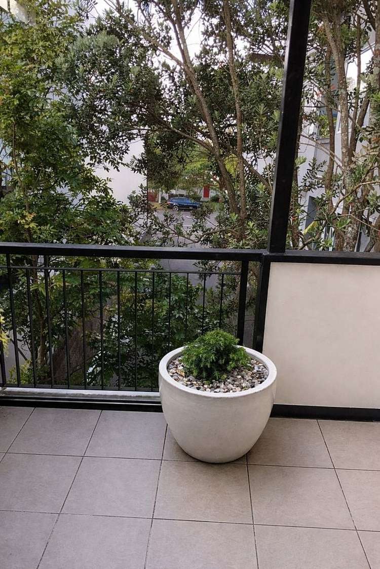 7/5 Millais Street Grey Lynn_11