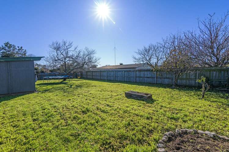 28 and 28a Hammond Street Bulls_24