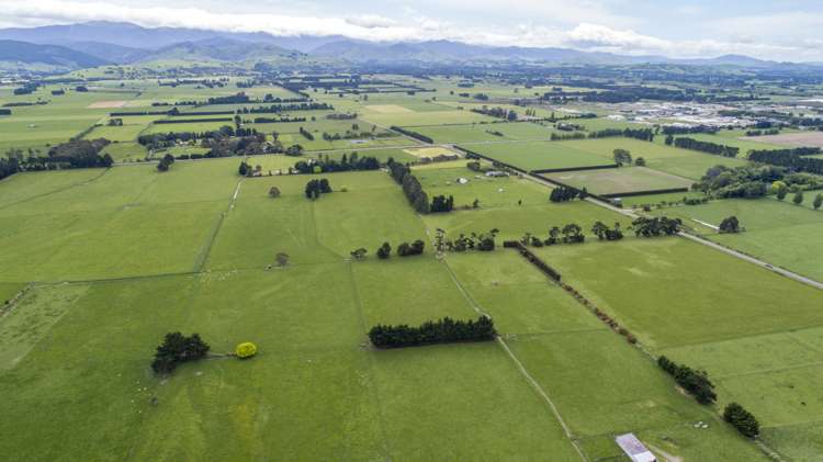 East Taratahi Road Carterton_5