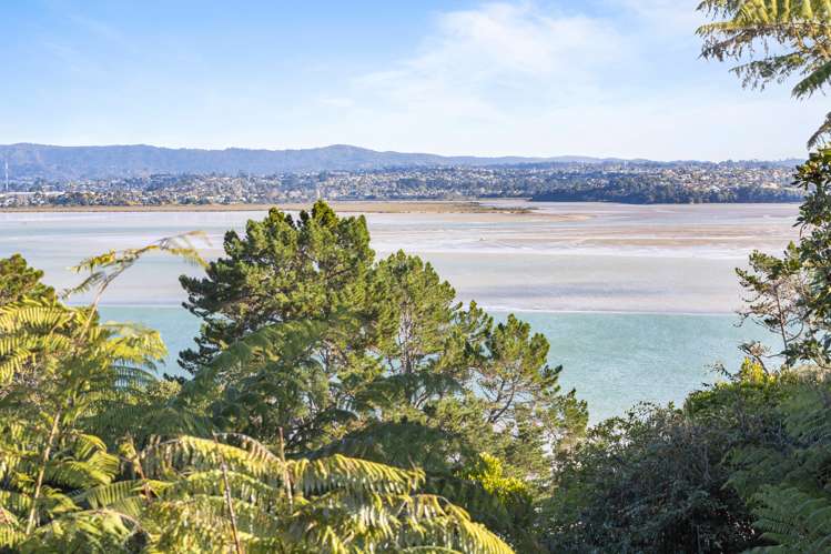 35 Rosecamp Road Beach Haven_8