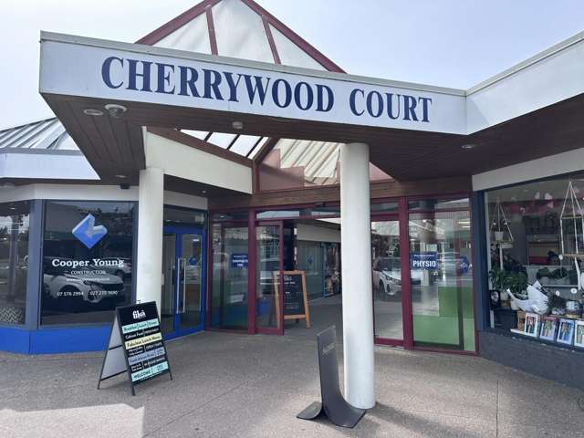 47 Cherrywood Drive Otumoetai_2