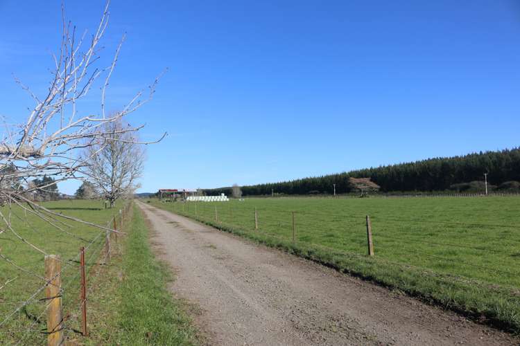 449 Kopuriki Road Murupara Surrounds_3