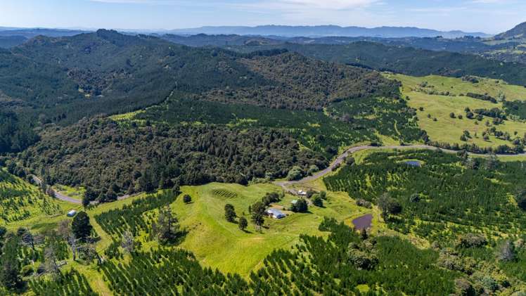 386 Pawarenga Road Broadwood_30