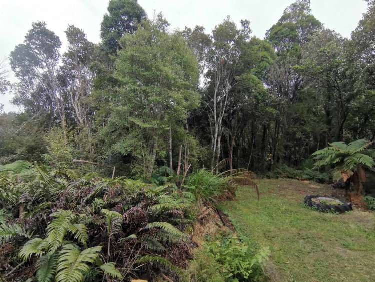 1 Cemetery Road Westland Surrounds_15