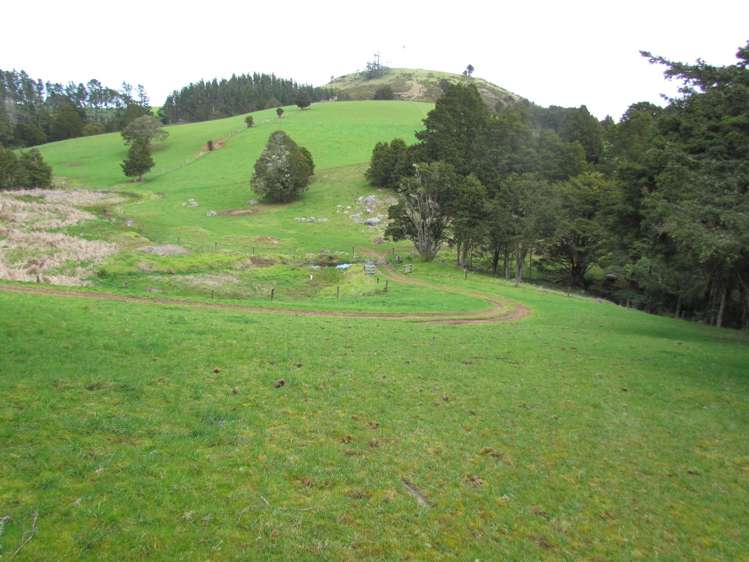 Tremain Road Ruatangata West_19