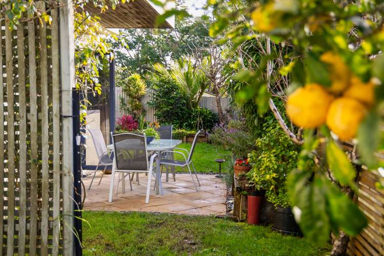 2a Renfrew Avenue Sandringham_6