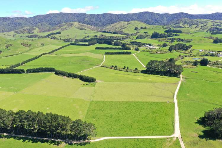 339 Mangaroa Road Eketahuna_0