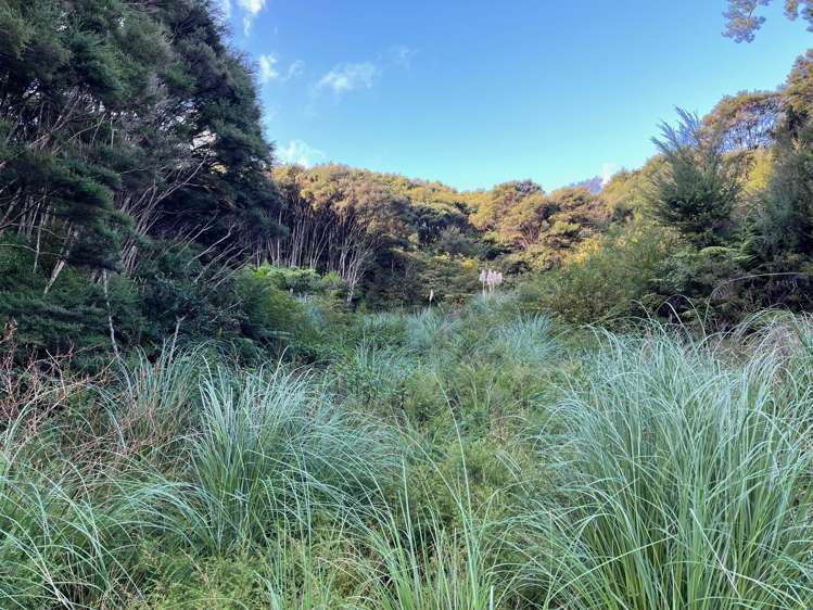 Lot 4 Gates Way Totara North_5