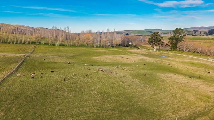 176 Campbells Road Waimate_32