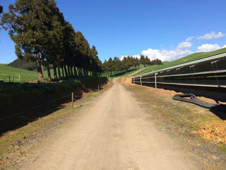 198 Harbottle Road Morrinsville_12