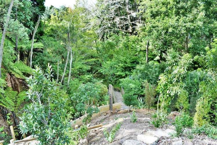 56 Pah Road Cockle Bay_10