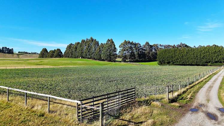 140 Tutoko Lane Te Anau_15