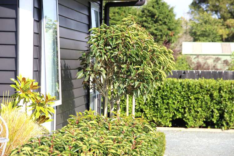 72 Snodgrass Road Westport_26