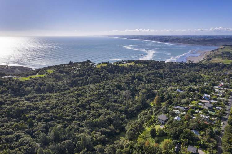 72a Upper Wainui Road Raglan_23