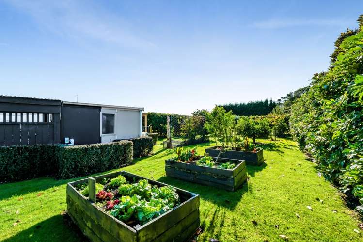 51 Wilson Road Urenui_31