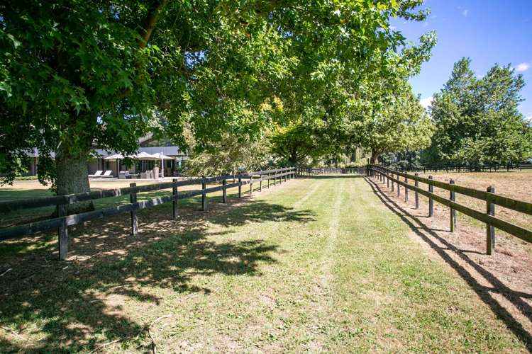 5 Hunter Lane Cambridge_13