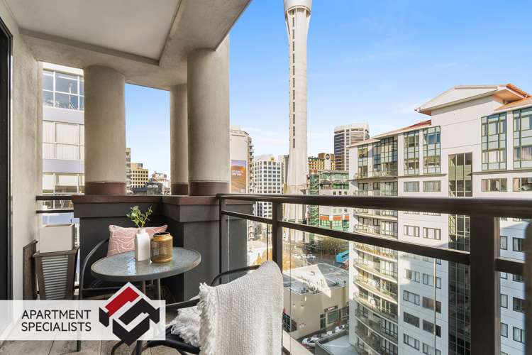 22 Nelson Street Mayfield_0