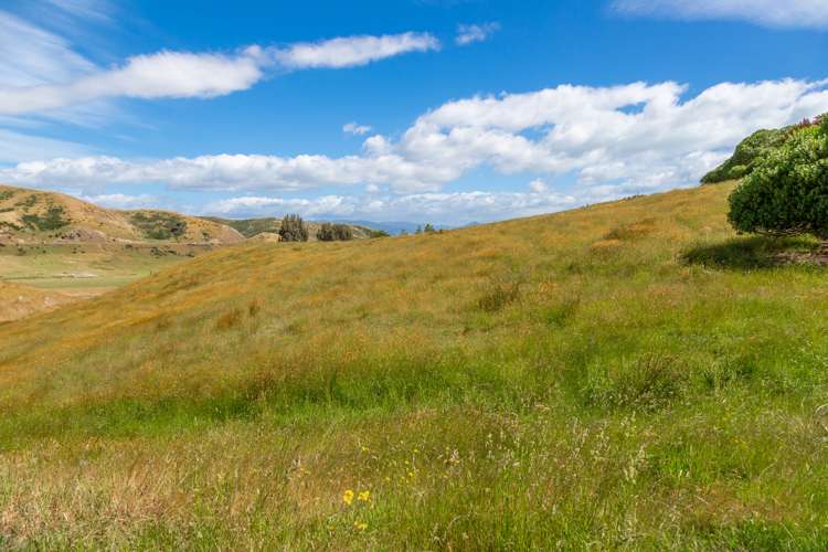 398 Redwood Pass Road Redwood Pass_10