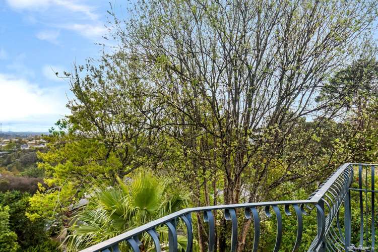 4/17 Cape Horn Road Mount Roskill_13