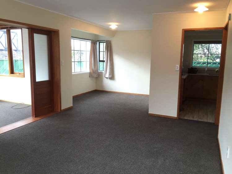 17 Mapau Road Greenlane_7