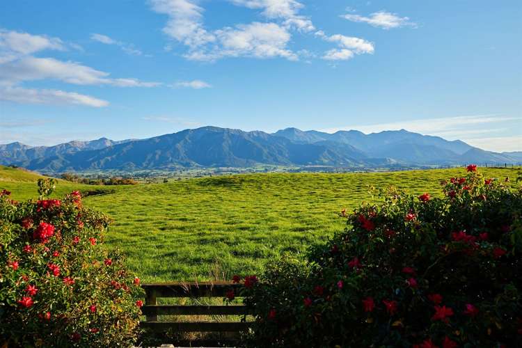 41 Shearwater Drive Kaikoura_22