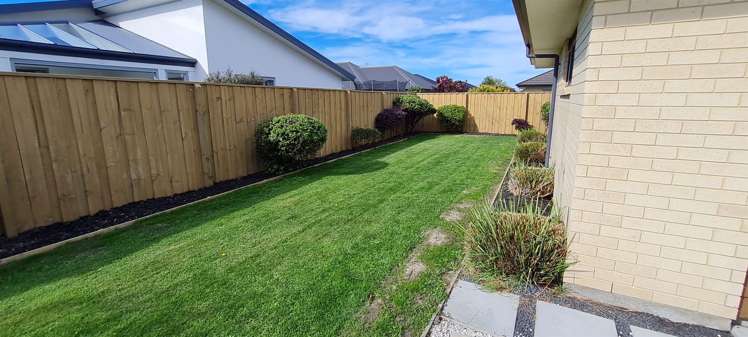 66 Aroha Street Pegasus_13
