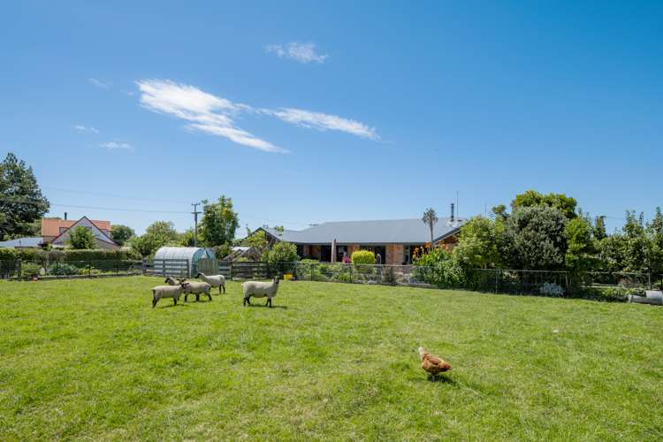 14 Hathaway Street Spring Creek_22