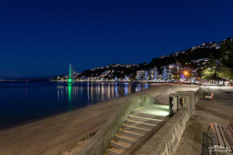 3b/22 Telford Terrace Oriental Bay_23