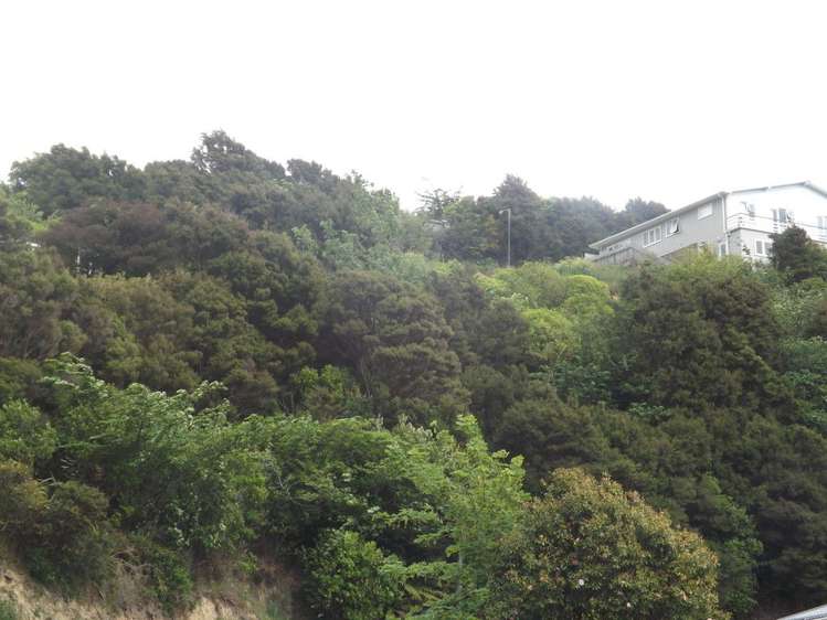 13 Holborn Drive Stokes Valley_1