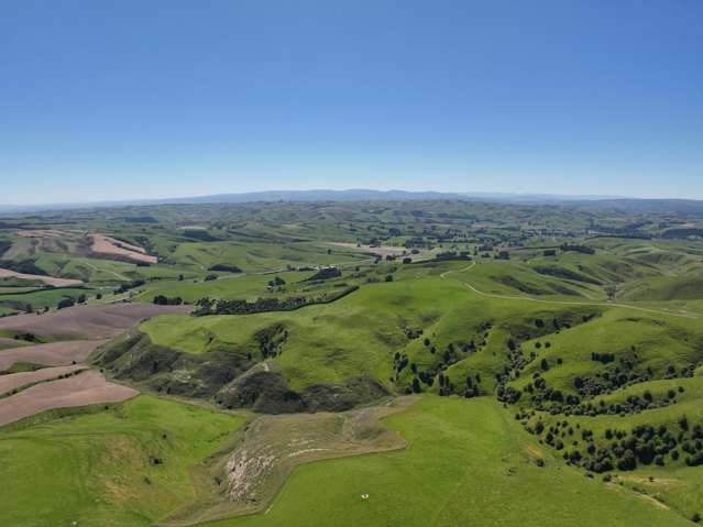 1916 Manuka Gorge Road Waitahuna Gully_4