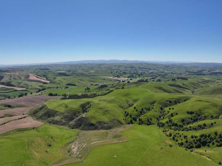 1916 Manuka Gorge Road Waitahuna Gully_4