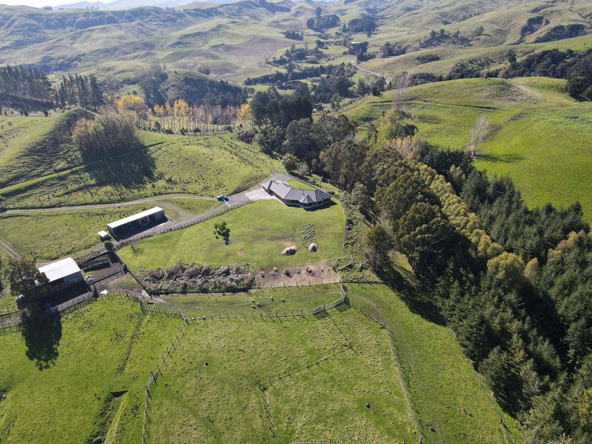 196 Ngapaeruru Rd Dannevirke_0
