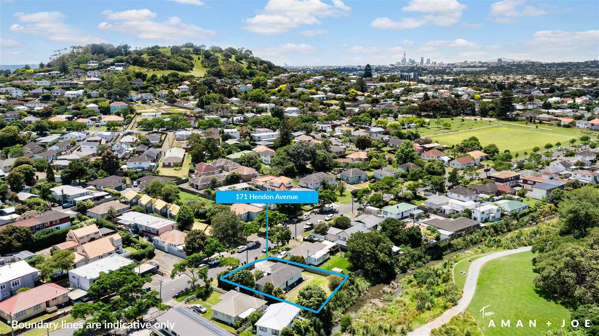 171 Hendon Avenue Mount Albert_0
