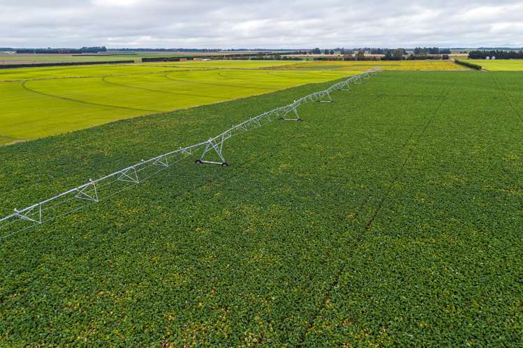 575 Thompsons Track Rakaia_0