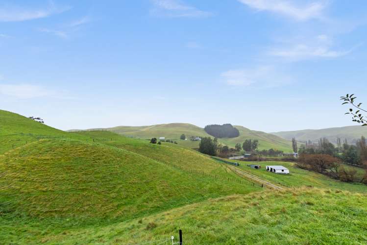 1228 Ohiti Road Crownthorpe_20