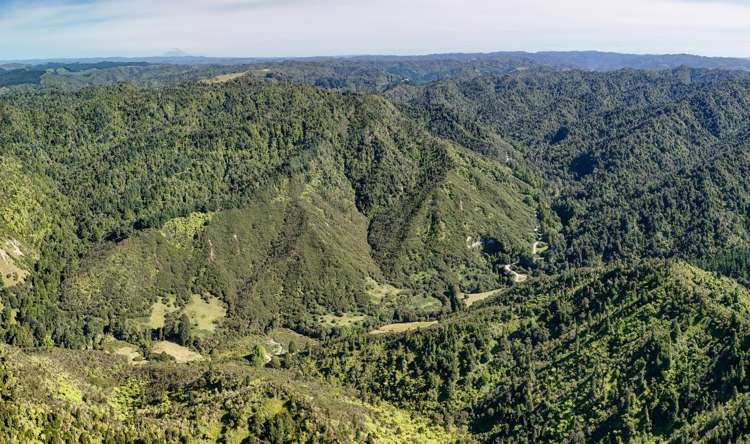 1529 Kauarapaoa Road_5