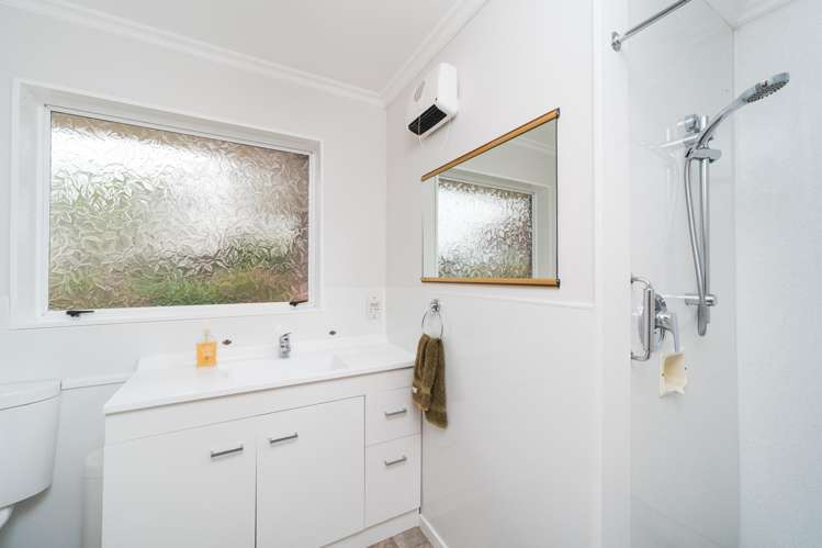 45 Dittmer Drive Awapuni_12