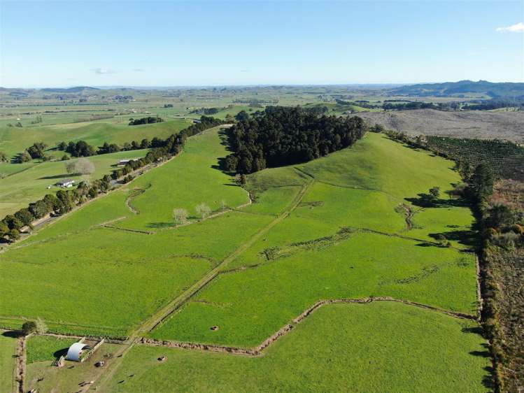 52 Kopuku Road Waerenga_13