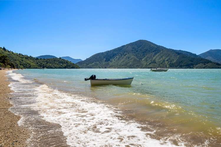 170 Moetapu Bay Road Moetapu Bay_19