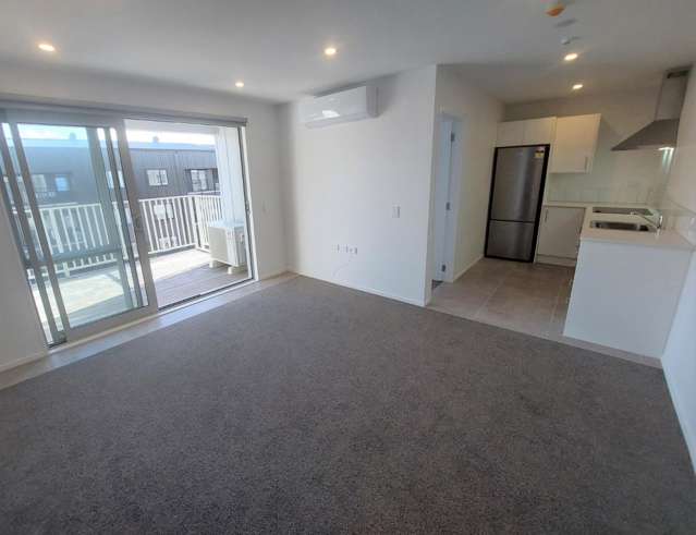 208 Eileen Newey Place 11401_1