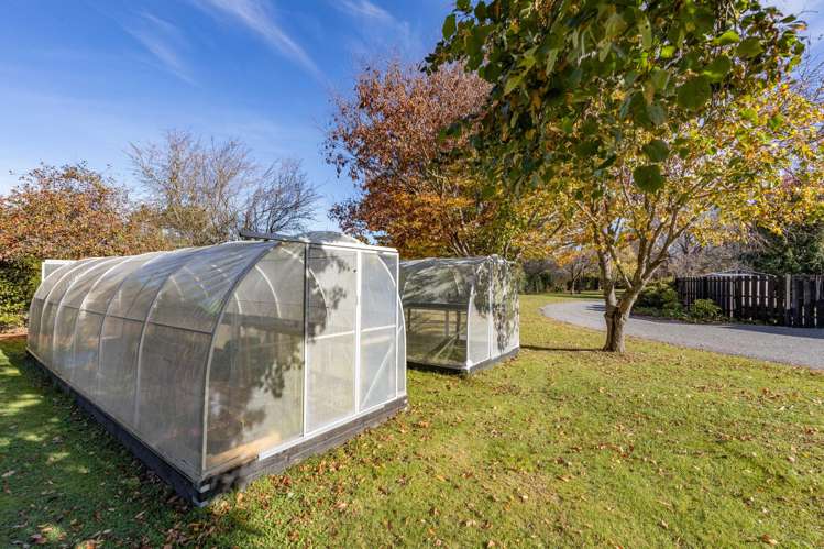 296 O'Roarkes Road Fernside_35