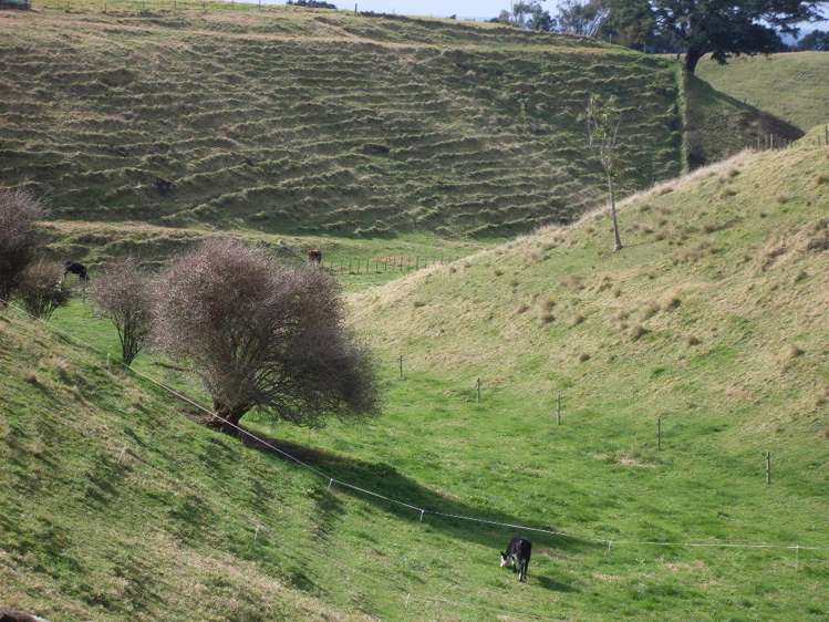 34d Hauone Road Pikowai_9