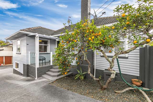 26 Owairaka Avenue Mount Albert_1