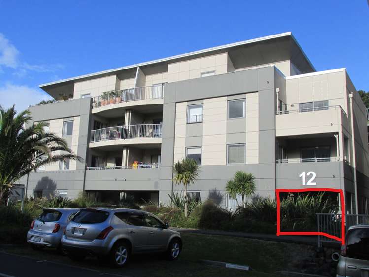 Gd/12 Morning Star Place Mount Albert_0