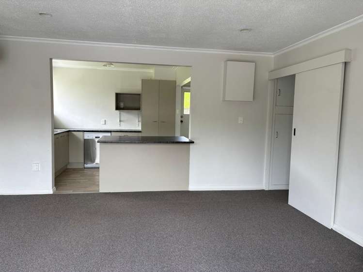 489 Kaikorai Valley Road Bradford_9