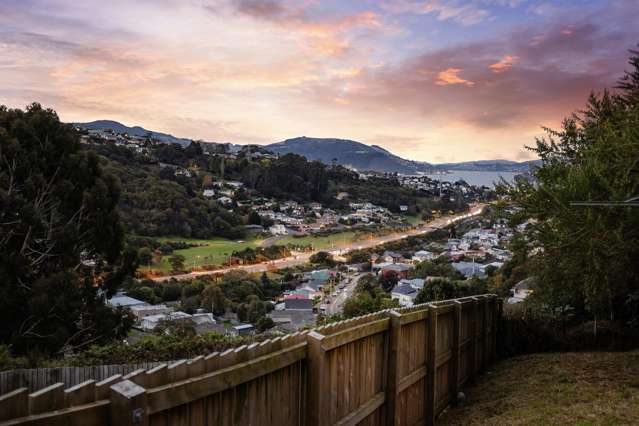 46 Waimea Avenue Calton Hill_2