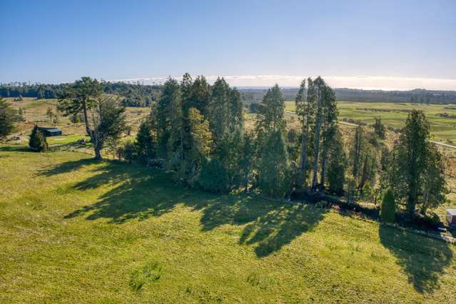 Lot 1 DP 596926 Woodstock-Rimu Road Rimu_3